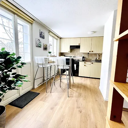 Einzigartige Schone Altbau- Im Zentrum St. Gallen