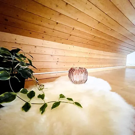 Einzigartige Schone Altbau- Im Zentrum Apartment St. Gallen