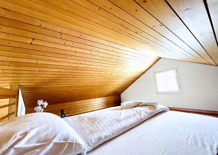 Einzigartige Schone Altbau- Im Zentrum St. Gallen