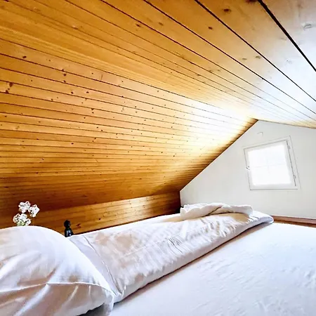 Einzigartige Schone Altbau- Im Zentrum St. Gallen