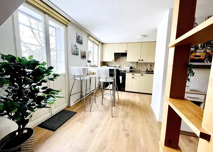 Einzigartige Schone Altbau- Im Zentrum St. Gallen